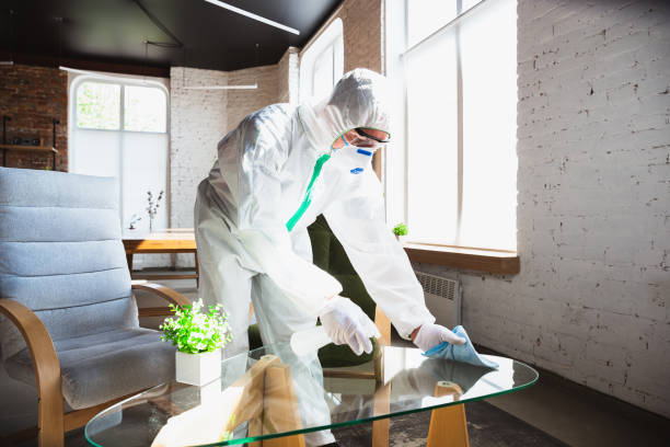 Reliable Sherwood Manor, CT Mold Removal Services Solutions